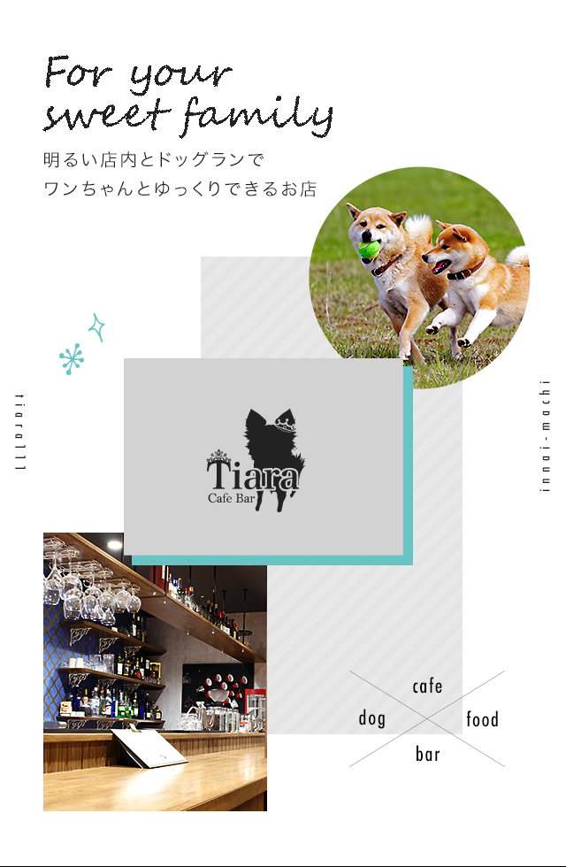 大分県宇佐市の Cafebar Tiara カフェバルティアラ ペット可 大分県宇佐市の Cafebar Tiara カフェバルティアラ ペット可